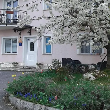 Surina Guest house Rupa