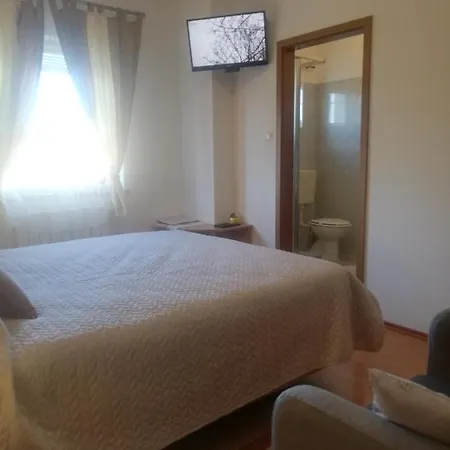 Guest house Surina 3*