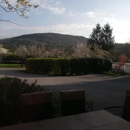 Guest house Surina 3*