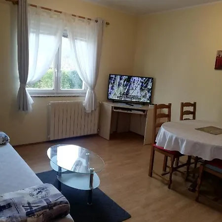 Guest house Surina